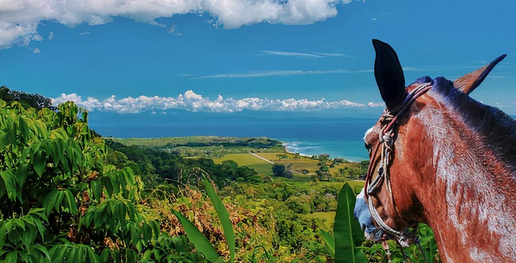 Autotour : Trésors naturels costariciens et extension possible au Corcovado