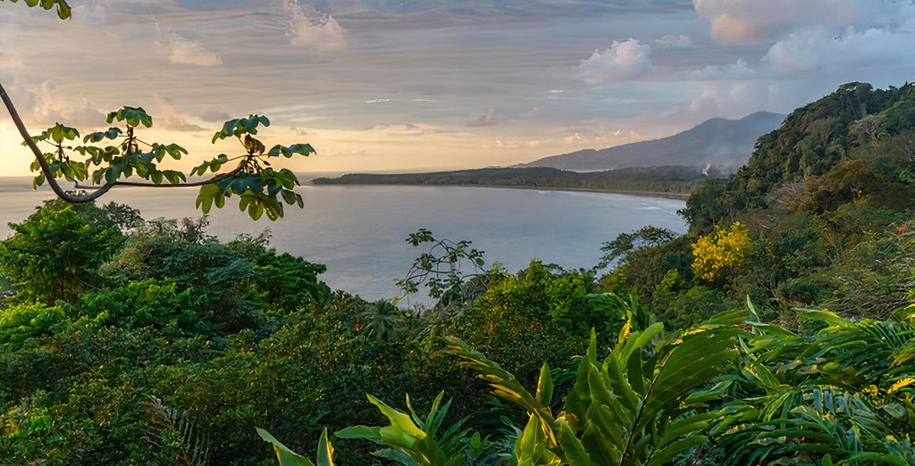 Autotour : Trésors naturels costariciens et extension possible au Corcovado