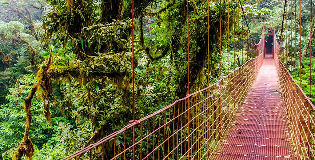 Autotour : Trésors naturels costariciens et extension possible au Corcovado