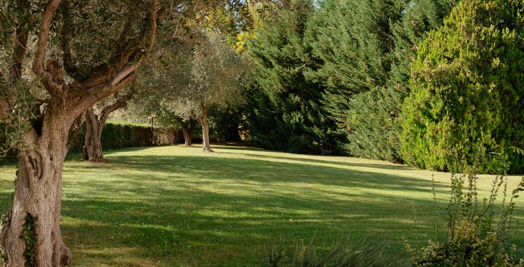 Hotel Federico II 4*