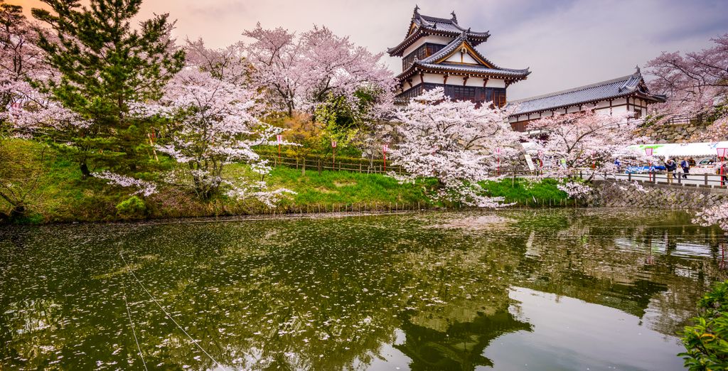 Tour in libertà: Monte Fuji e i tesori nipponici