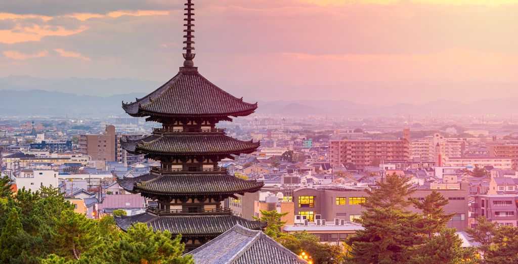 Tour in libertà: Monte Fuji e i tesori nipponici