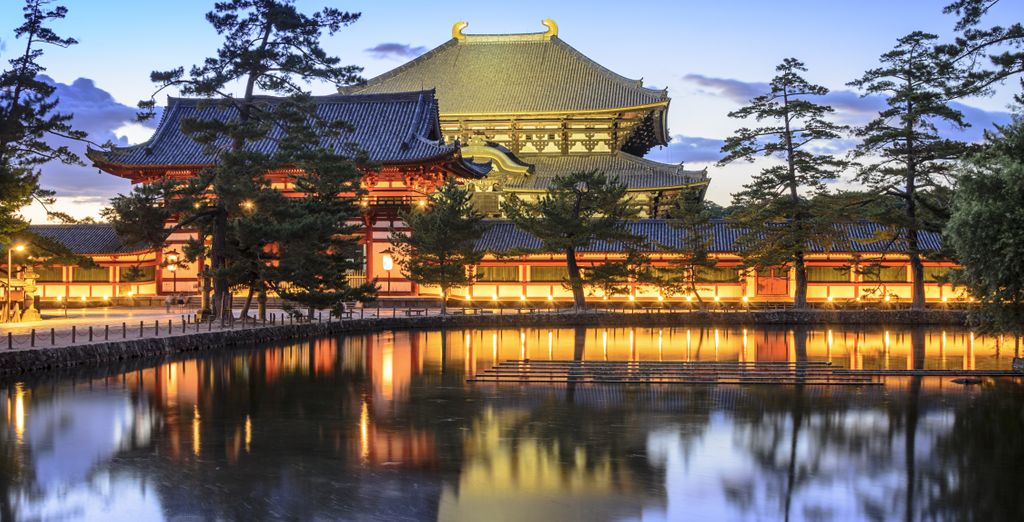 Tour in libertà: Monte Fuji e i tesori nipponici