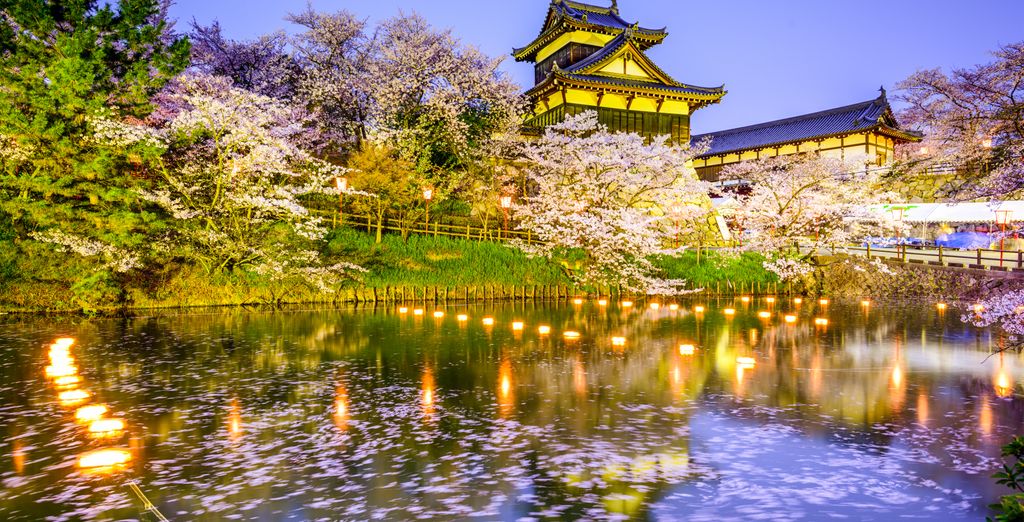 Tour in libertà: Monte Fuji e i tesori nipponici