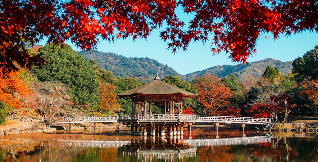 Tour in libertà: Monte Fuji e i tesori nipponici