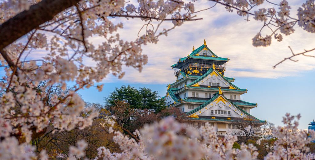 Tour in libertà: Monte Fuji e i tesori nipponici