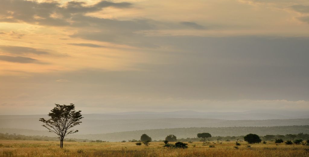 African Rock Hotel & Spa 5* con possibile estesnione al Makweti Safari Lodge 5*