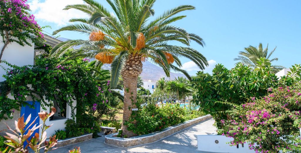 Soggiorno in libertà: Avventura nelle isole Cicladi
