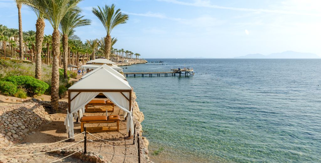 Grand Rotana Resort & Spa 5*