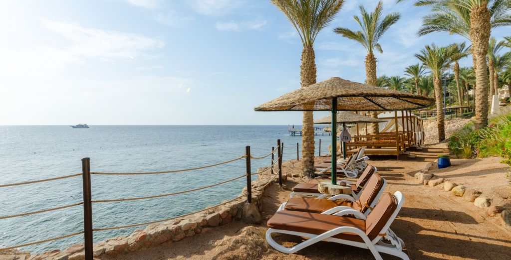 Grand Rotana Resort & Spa 5*