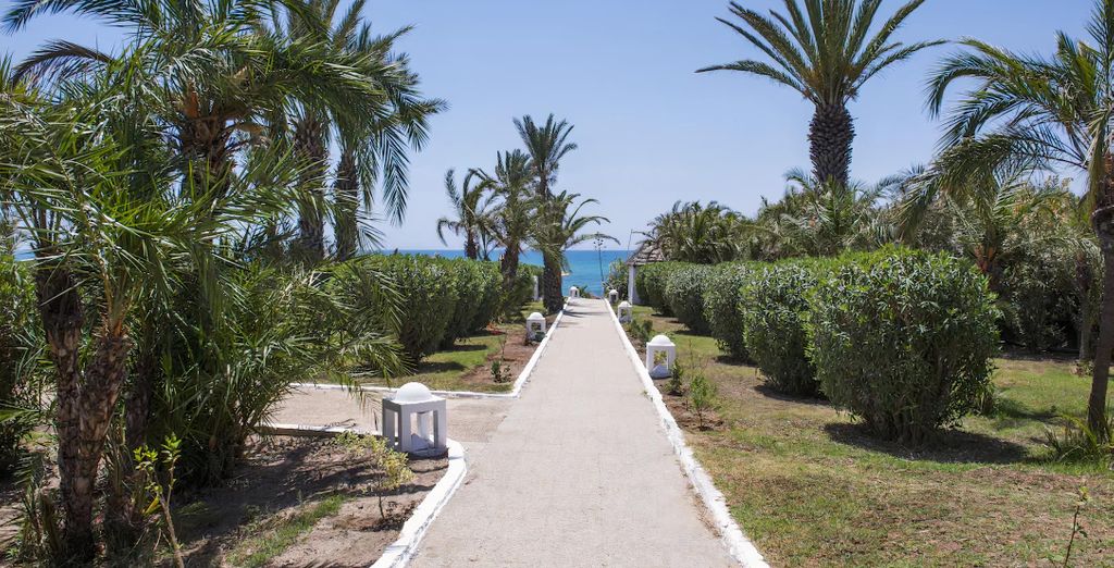 Tui Blue Palm Beach Club Wellness 4*