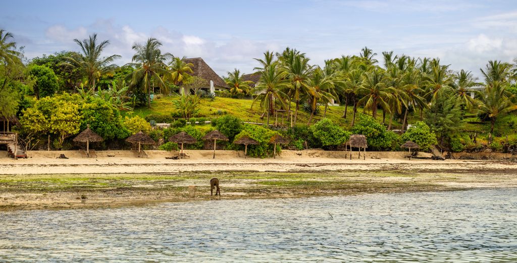 Fruit & Spice Wellness Resort 5*