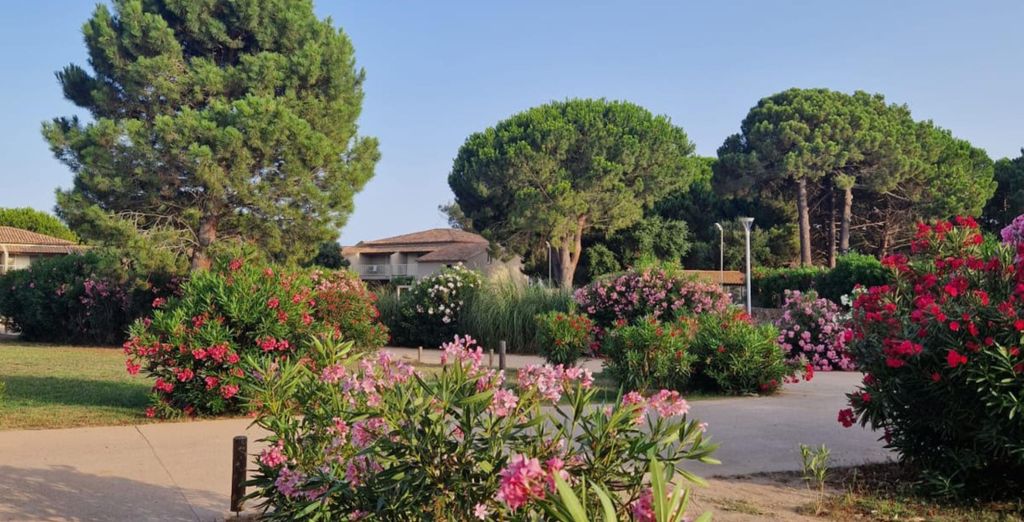 Residence Fiori di Cala Rossa con volo o Sardinia Ferries