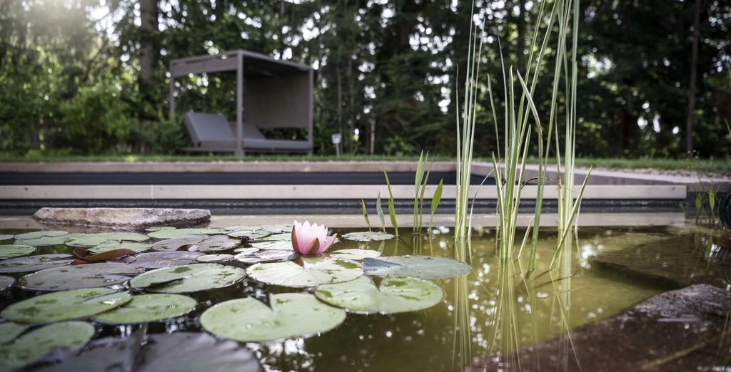 Hotel Belvedere – Fine Dining, Hideaway & SPA