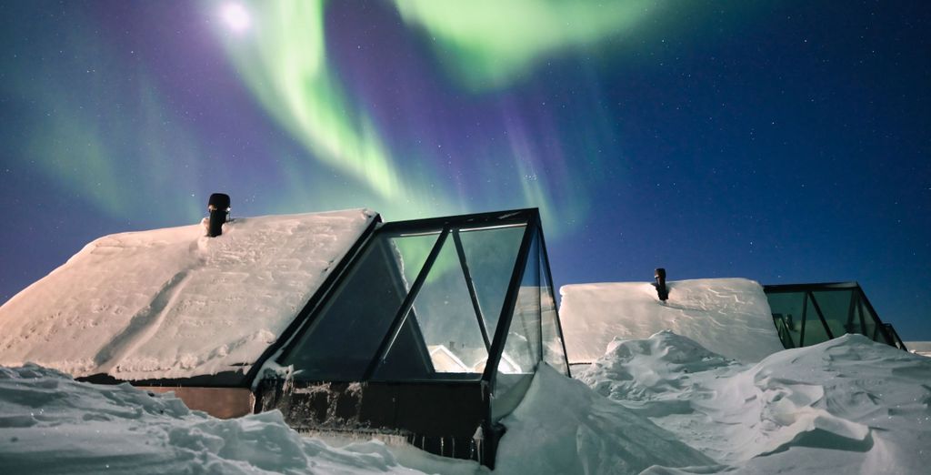 Star Arctic Hotel 4*