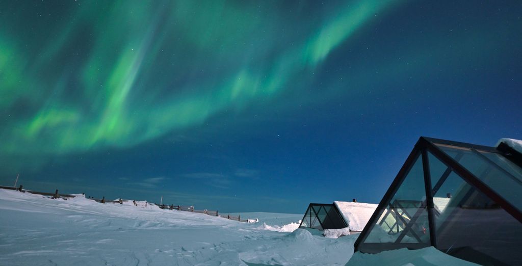 Star Arctic Hotel 4*
