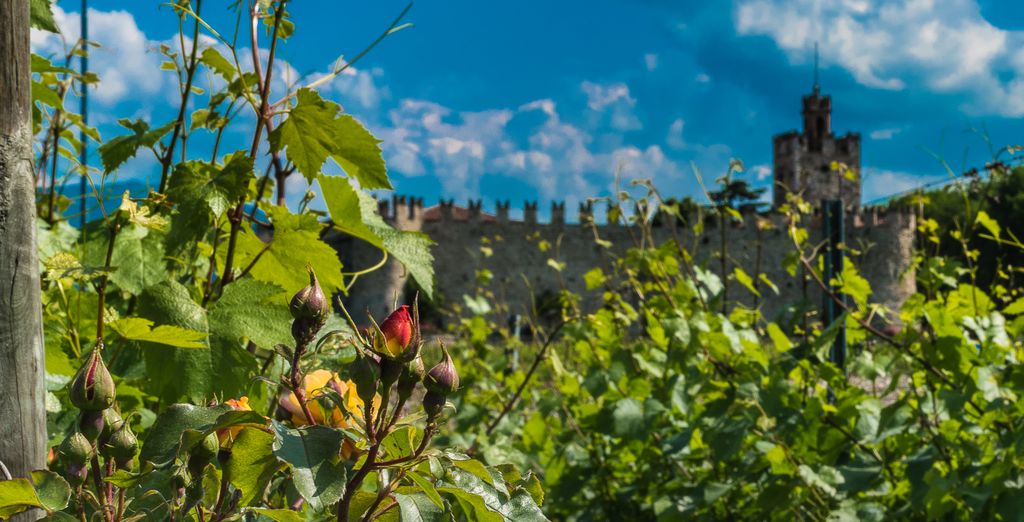 Soggiorno in libertà: Le meraviglie della Franciacorta