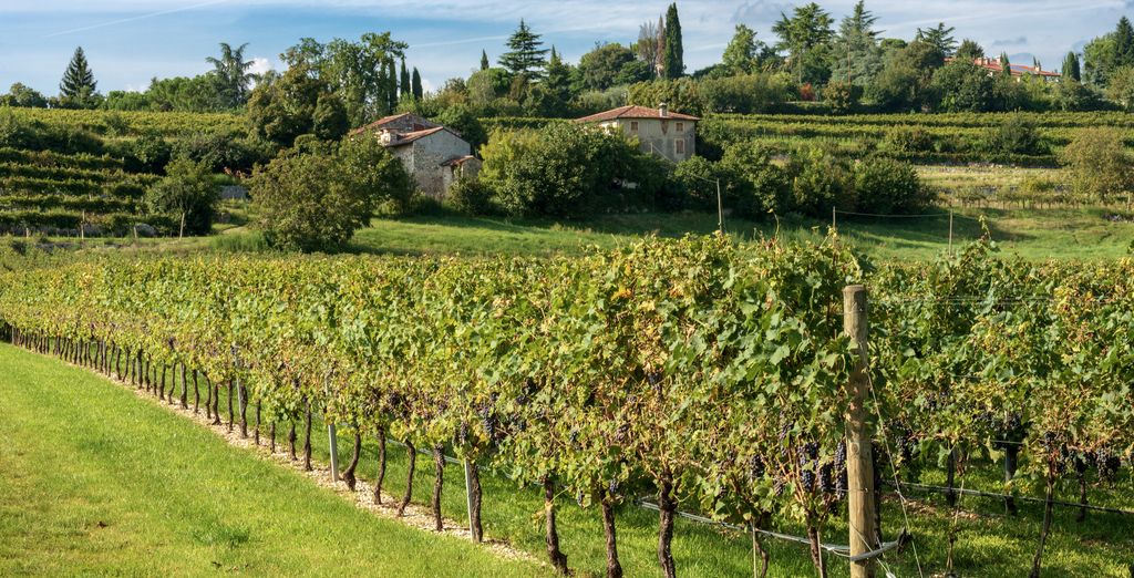 Soggiorno multiattività: La città dell'amore e i suoi dintorni
