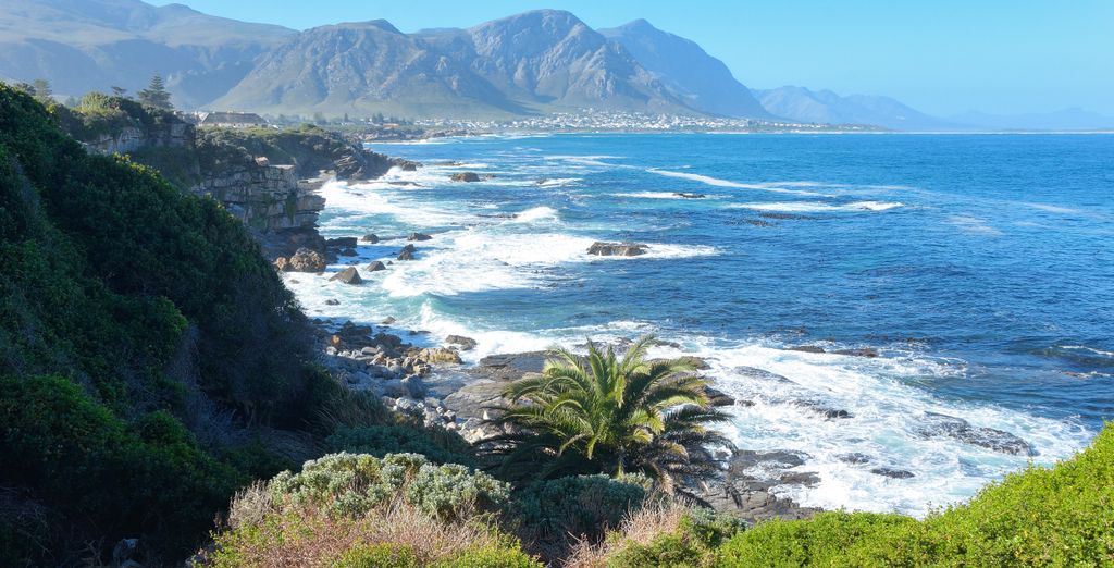 Autotour: Città del Capo e la Garden Route