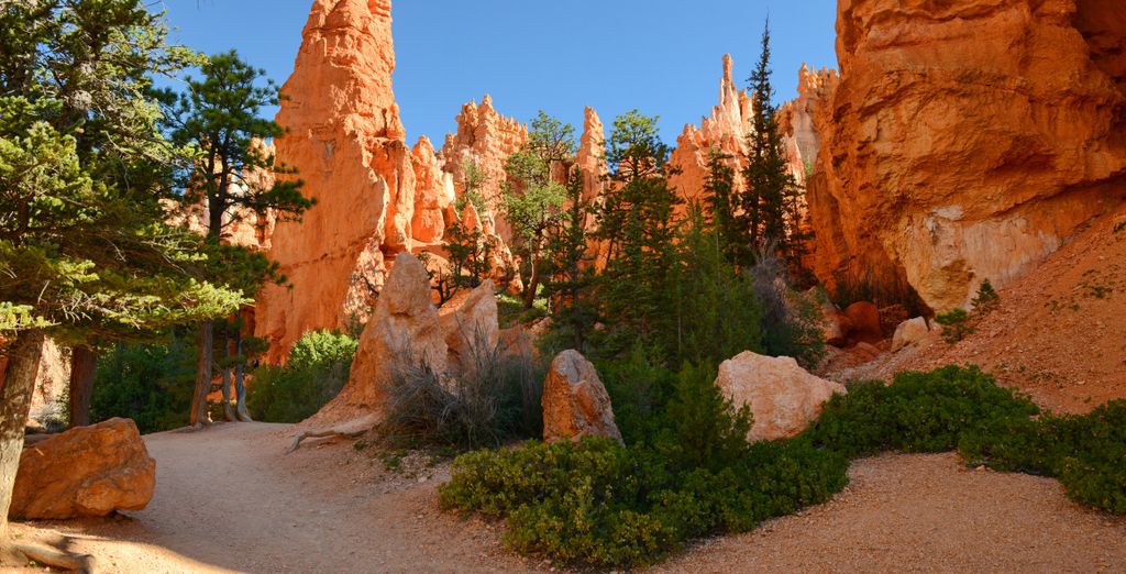 Autotour: Tra patrimonio, natura e scoperta 
