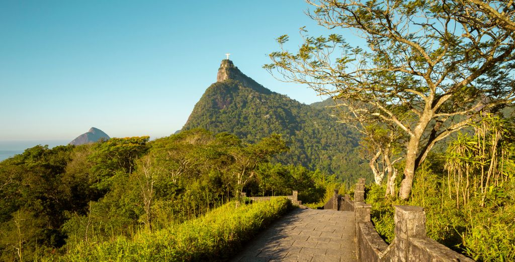 Soggiorno in libertà: Viaggio nella cultura carioca al ritmo di Samba