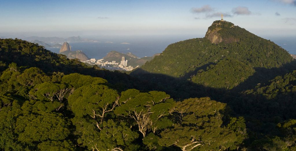 Soggiorno in libertà: Viaggio nella cultura carioca al ritmo di Samba