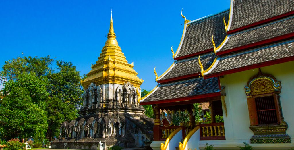 Away Chiang Mai Thapae Resort - A Vegan Retreat 4* e Wyndham Grand Nai Harn Beach Phuket 5* con possibile pre-estensione al Cross Vibe Bangkok Sukhumvit 4* 
