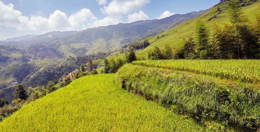 Tour privato: Le meraviglie dello Yunnan
