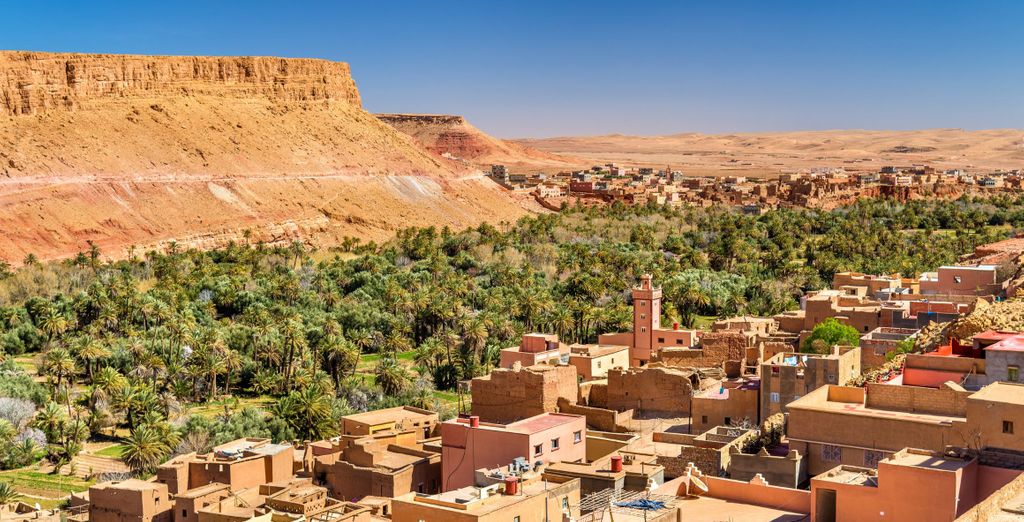 Tour di gruppo: Strade vibranti, sabbie antiche e sogni del deserto