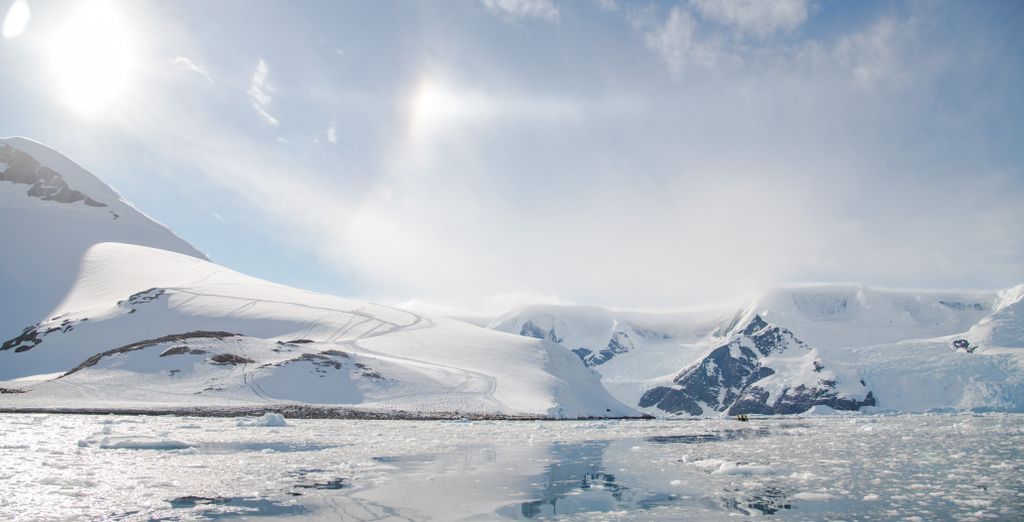Crociera Ponant: Dalle Isole Falkland all'Antartide