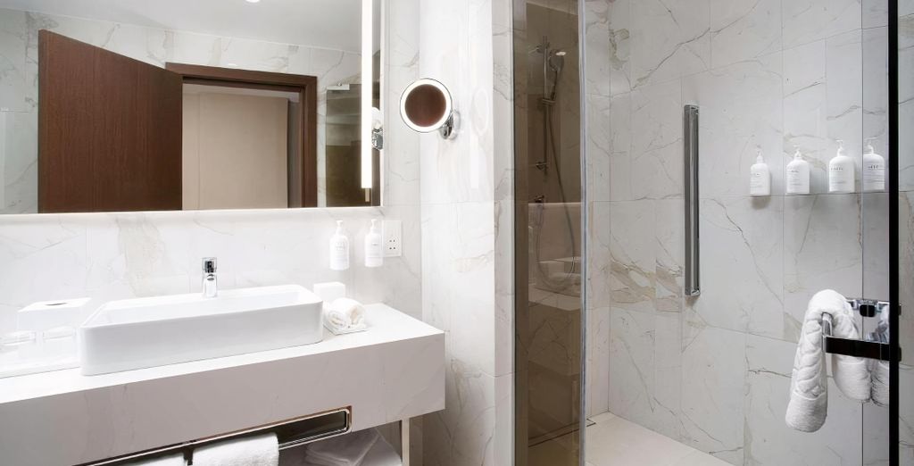 Iceland Parliament Hotel 4*