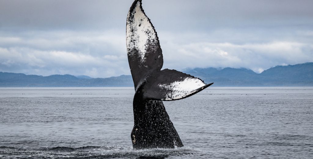 Crociera Ponant: verso "l'Ultima Frontiera" con pre-estensione a Vancouver