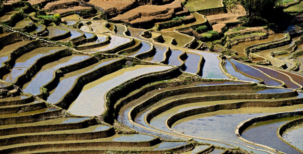 Tour privato: Le meraviglie dello Yunnan