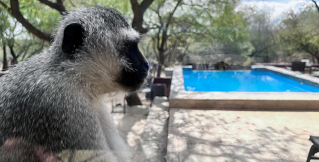 Turaco Lodge 4*