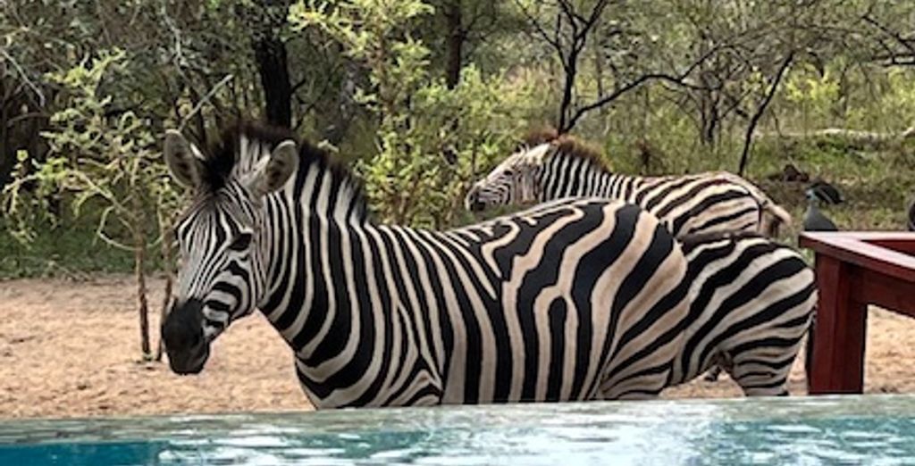 Turaco Lodge 4*
