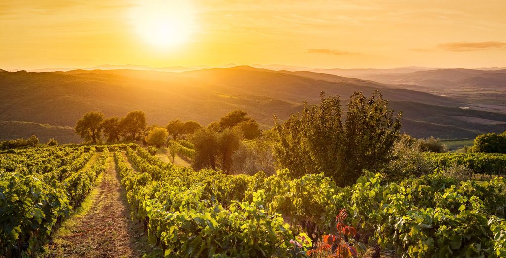 Tenuta Tizzauli 