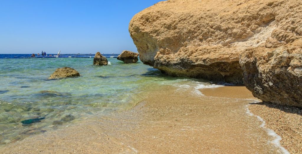 Monte Carlo Sharm Resort & Spa 5*