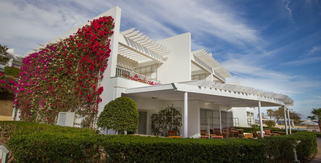 Monte Carlo Sharm Resort & Spa 5*