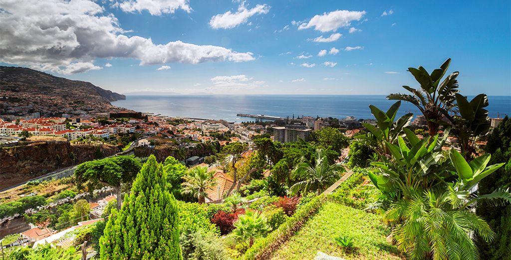 Hoteles en Funchal