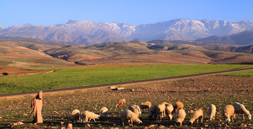 Tour di gruppo: Trekking e soggiorno berbero