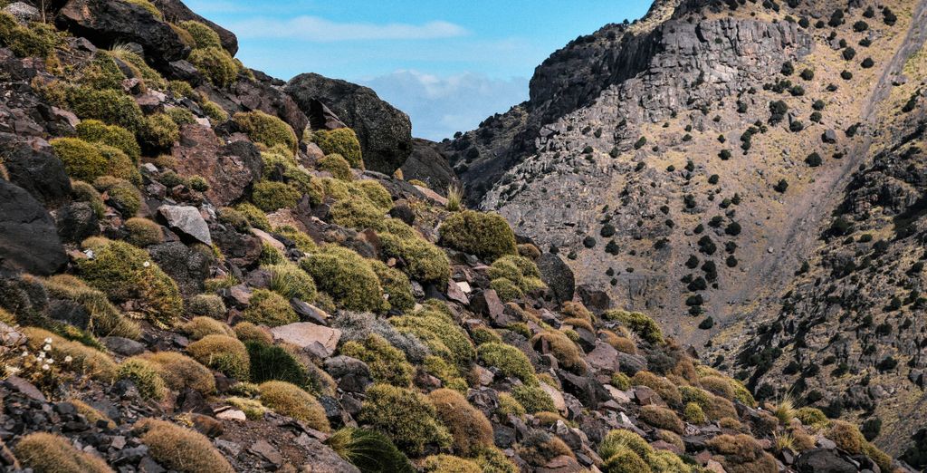 Tour di gruppo: Trekking e soggiorno berbero