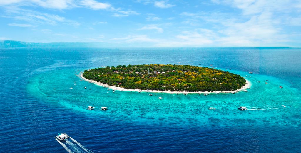 Tour privato: Le Visayas, tra risaie e spiagge turchesi