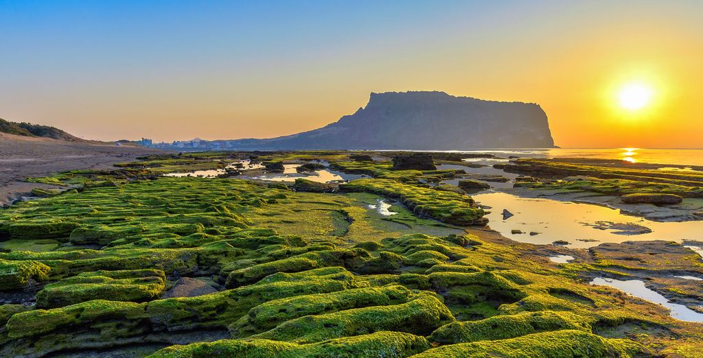 7 or 9 night tour: The essentials of South Korea