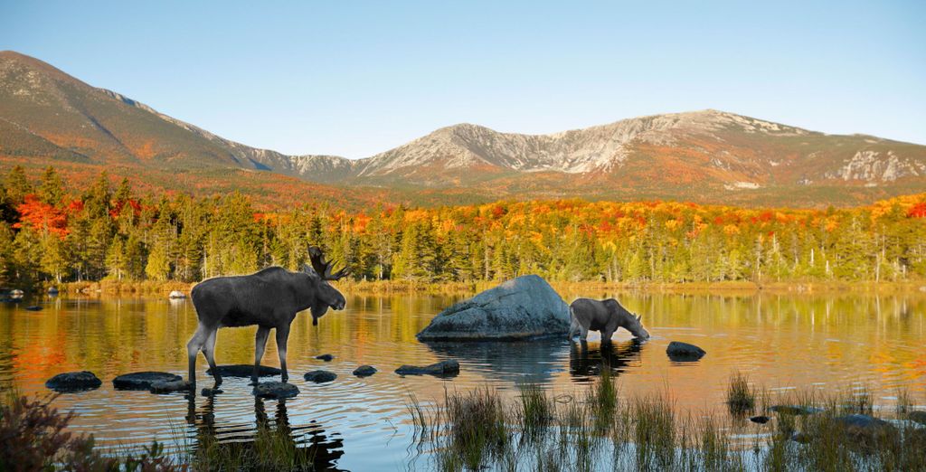 14 night road trip: Classic New England