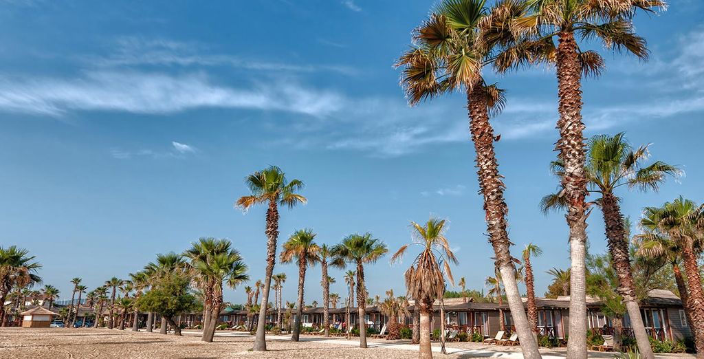 Ecolodges Var - Port Grimaud