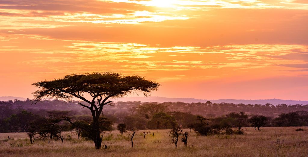 Unyati Safari Lodge