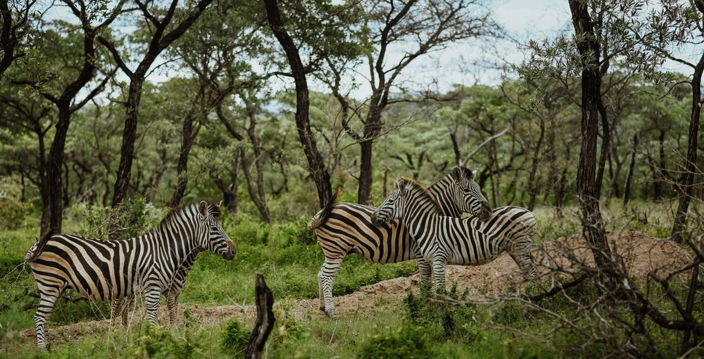 Unyati Safari Lodge