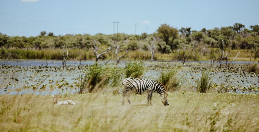 Unyati Safari Lodge