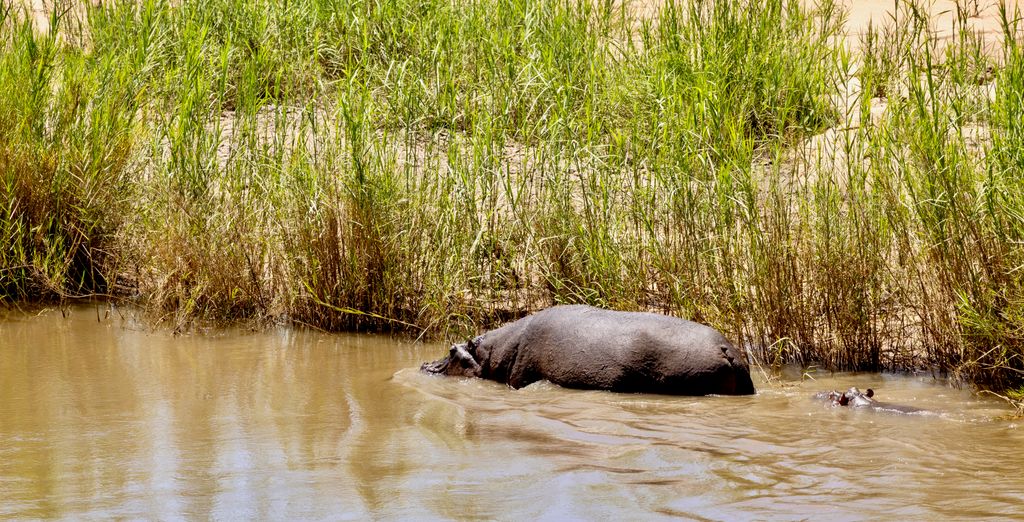 Unyati Safari Lodge
