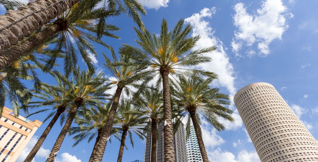 Autotour: Sotto il sole della Florida